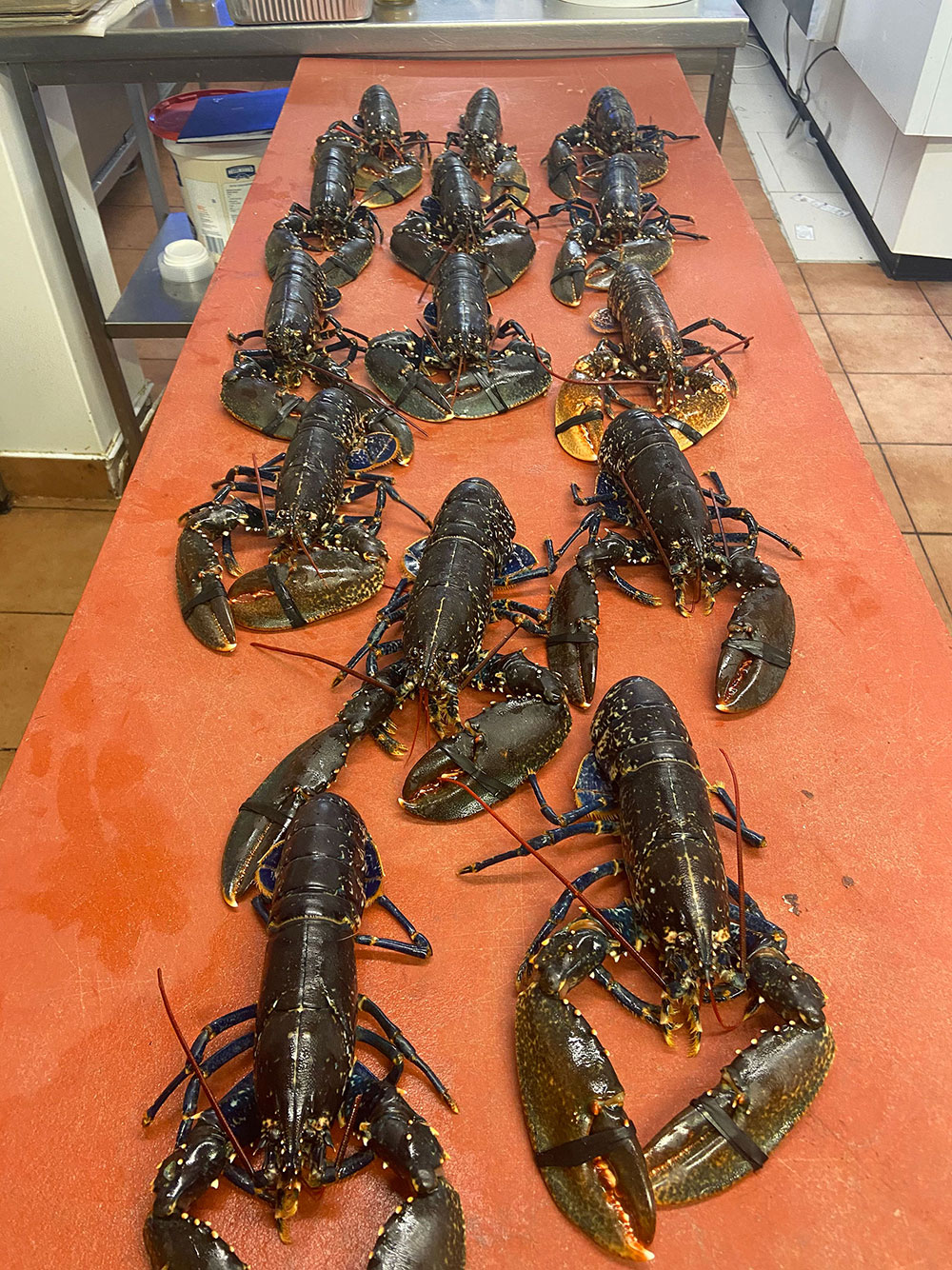 Ryan’s Food Emporium